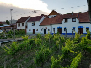 Vinný sklep Kraví Hora Bořetice